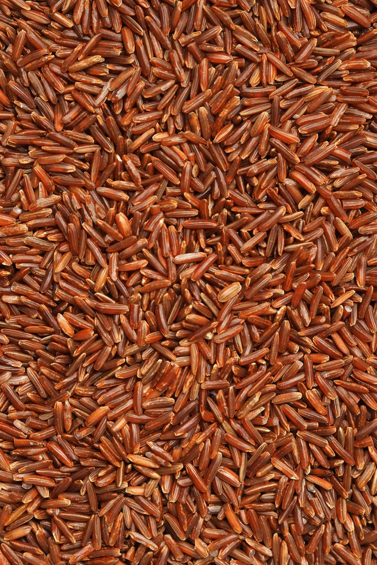 Grains de riz rouge